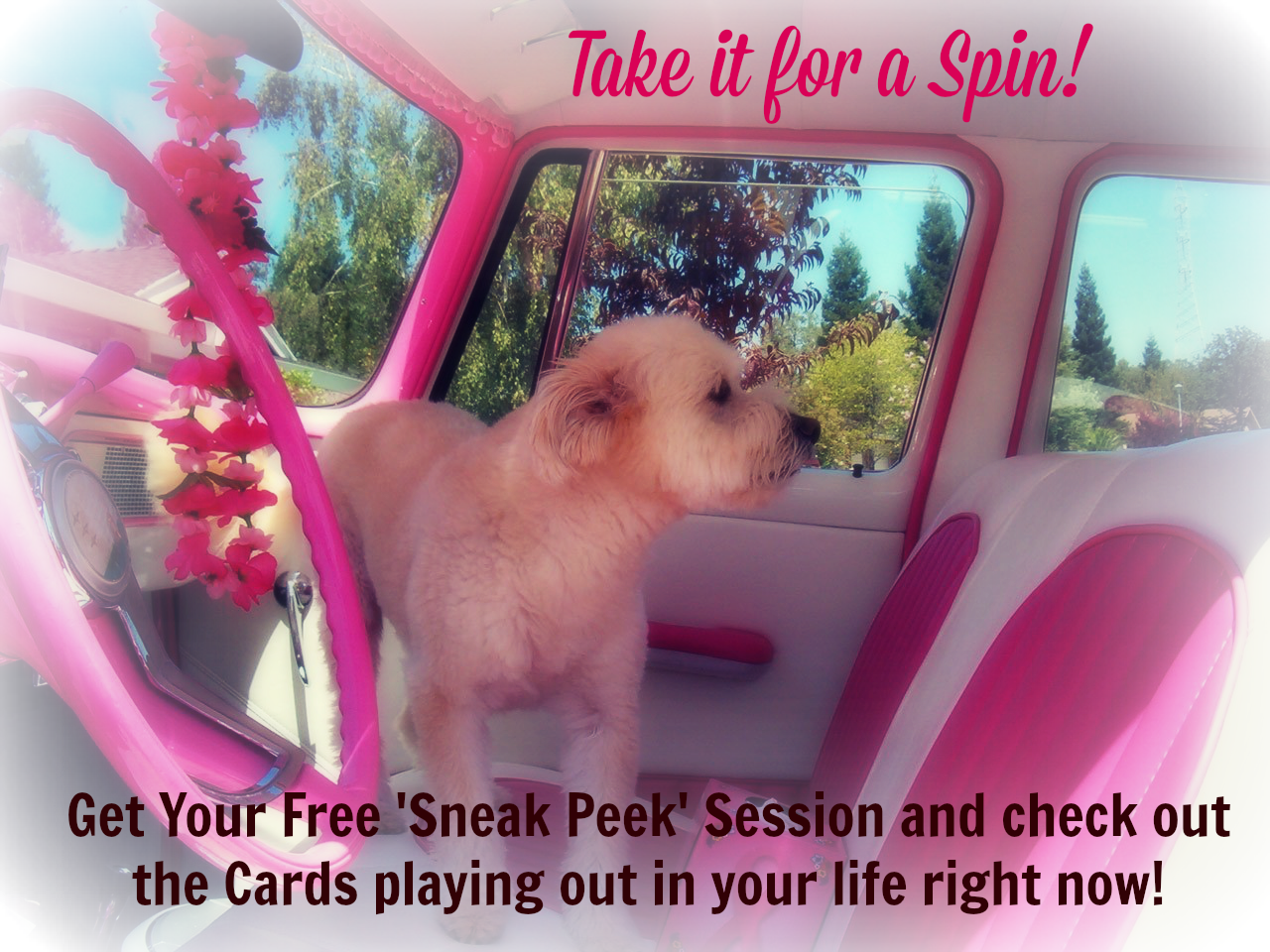 Take a Test Drive With Your Cards!
