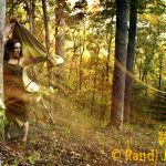Spiritual Warrior Thinks: What Is Money?