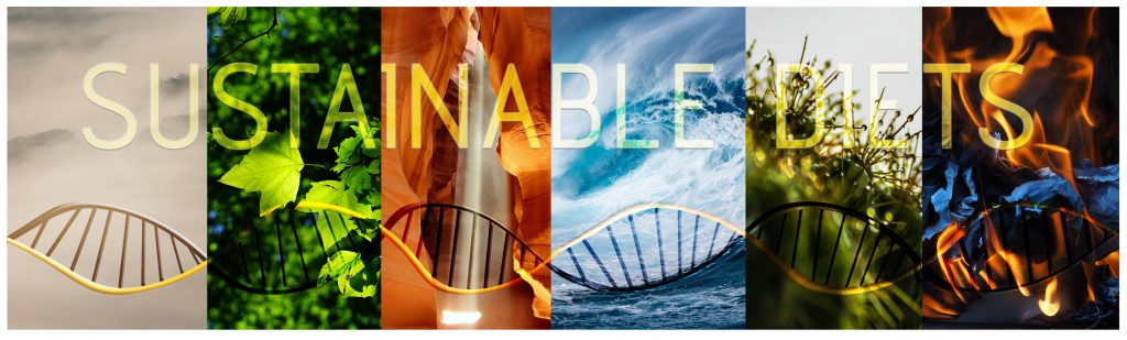 The Six Sustainable Diets