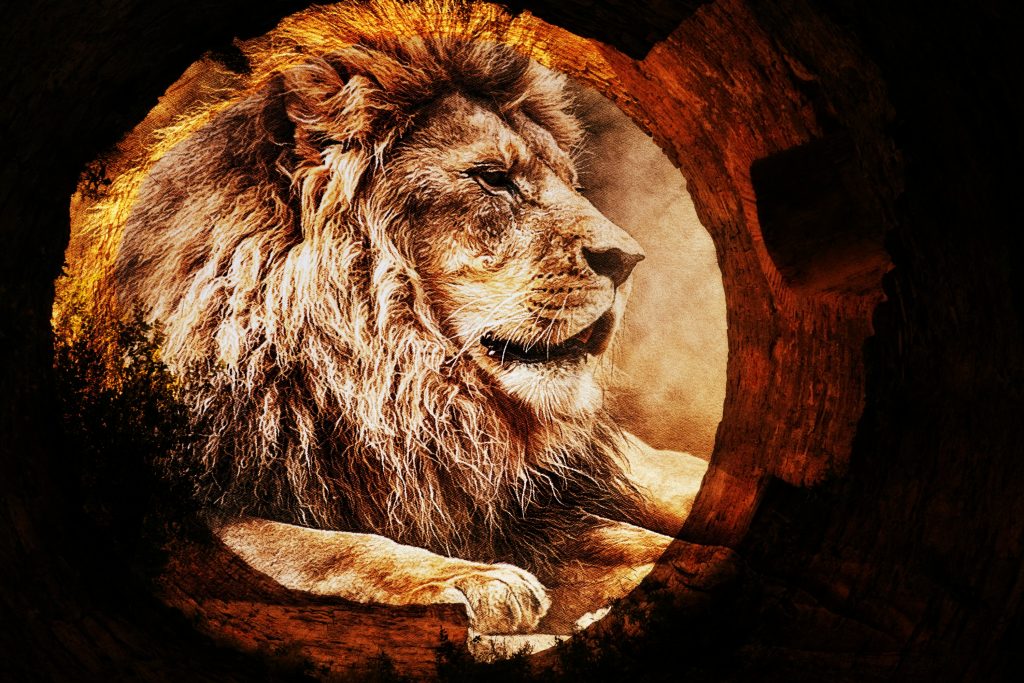 Use Cardology to Leap Through the Lionsgate and Into the New Paradigm!