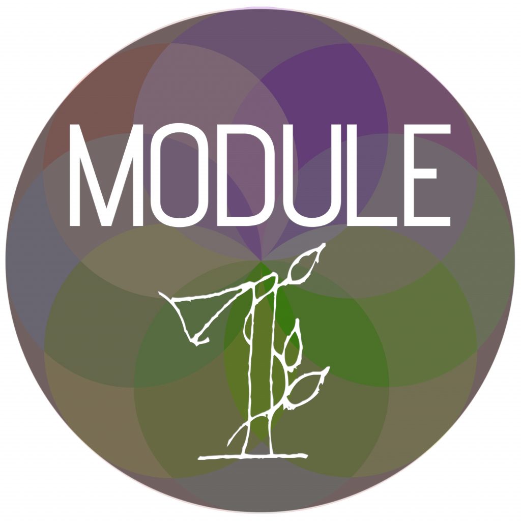 Module Sphere 1