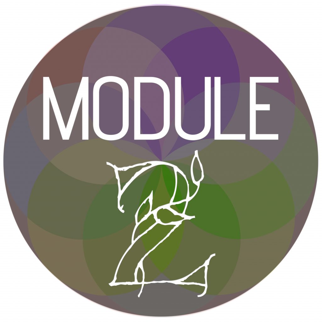 Module Sphere 2