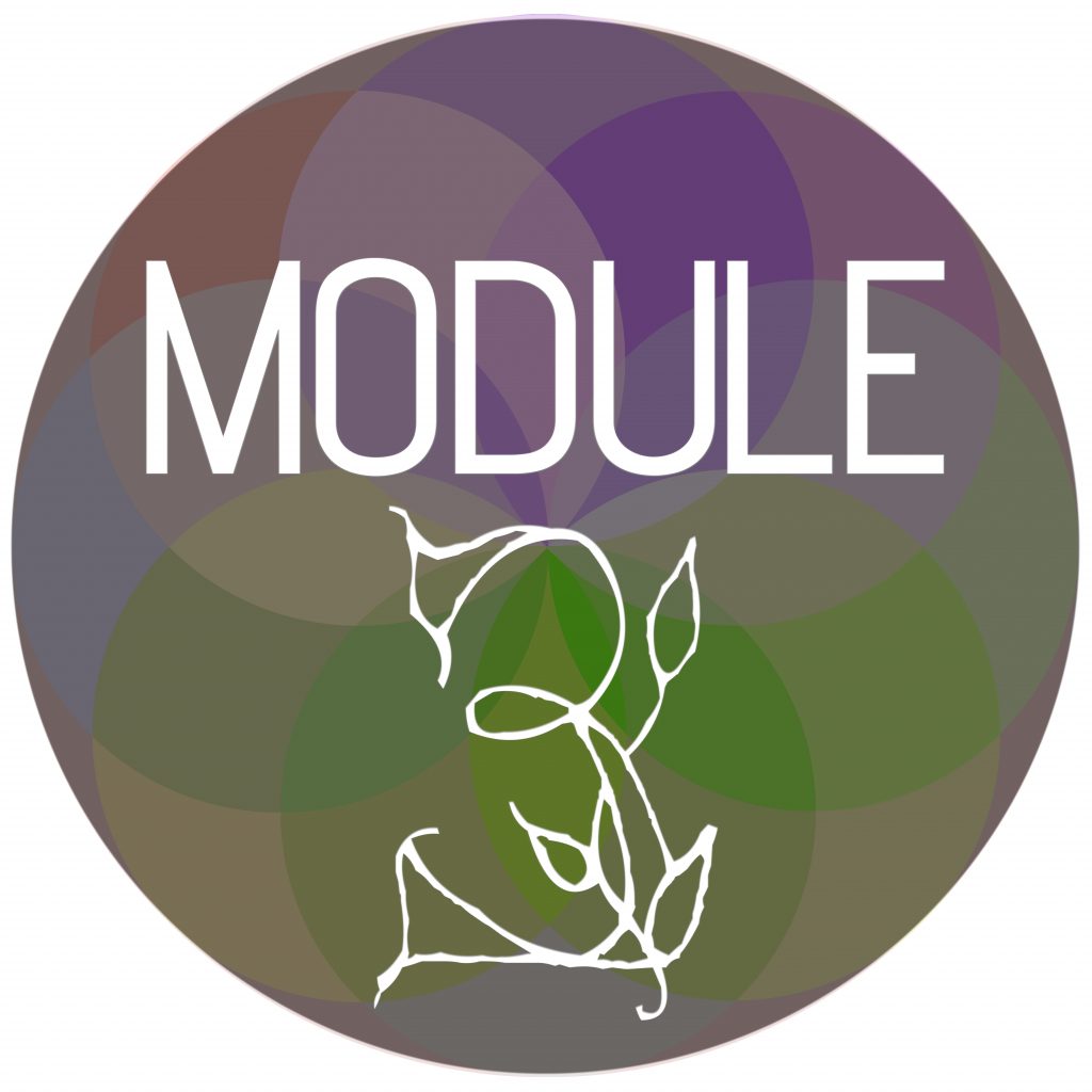 Module Sphere 3