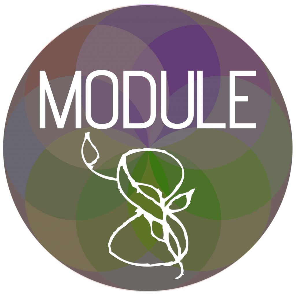 Module Sphere 8