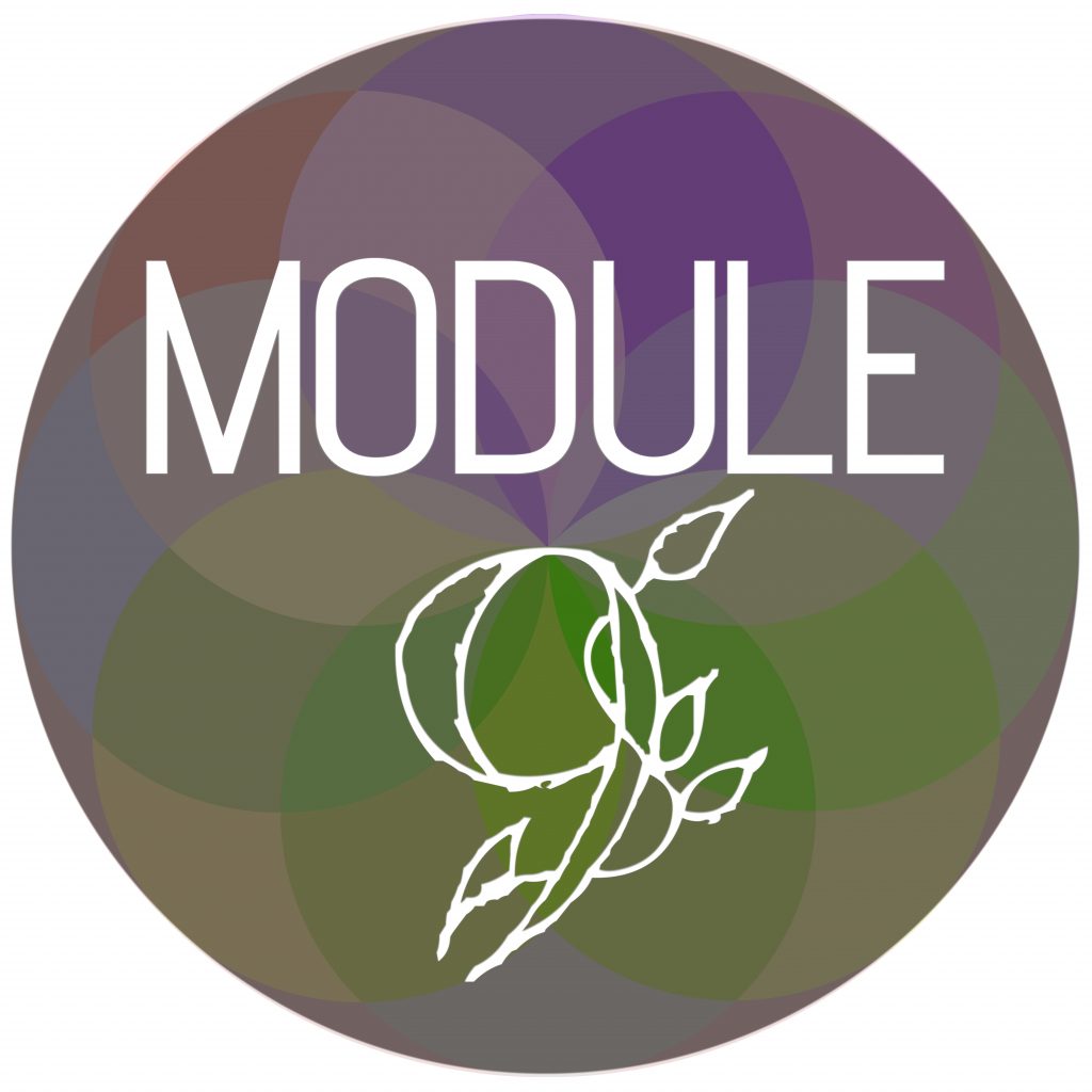 Module Sphere 9